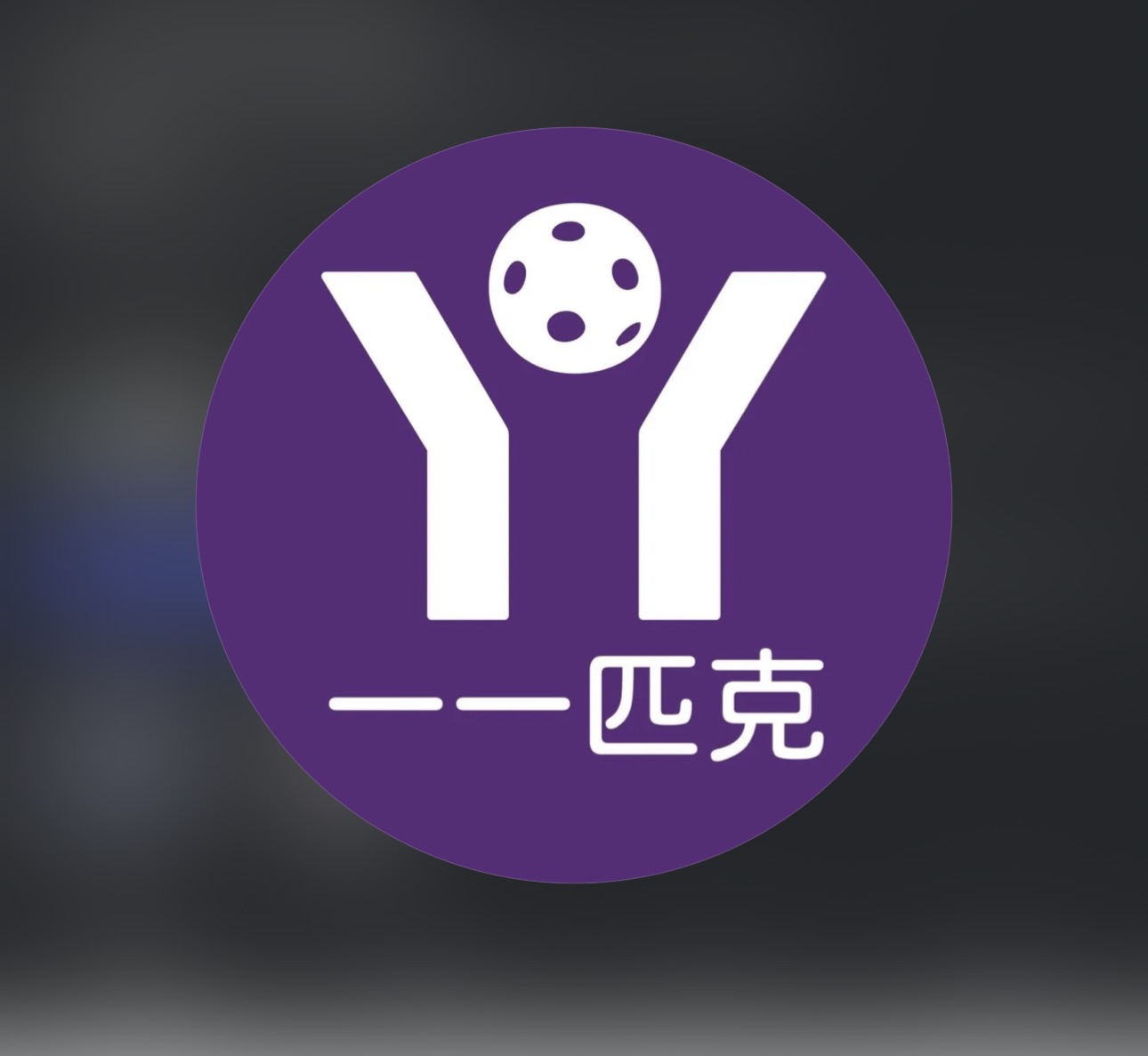 台中潭子區｜一一匹克 YIYI PICKLE 球場照片
