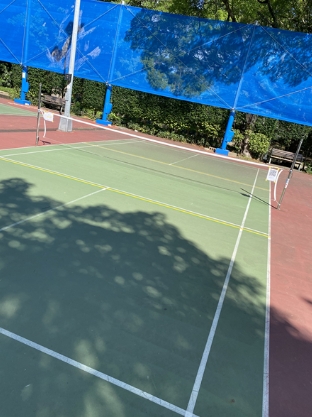 青年公園匹克球場 球場照片